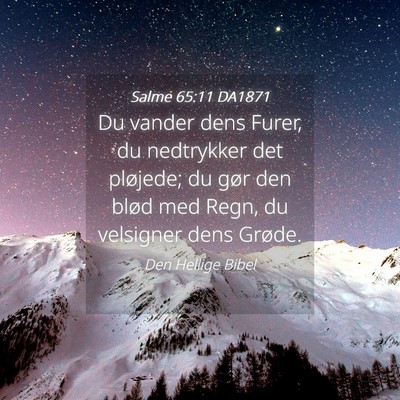 Picture 04 - Salme 65:11 DA1871 - Du vander dens Furer, du nedtrykker det pløjede; - Bible Verse Picture