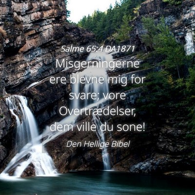Picture 04 - Salme 65:4 DA1871 - Misgerningerne ere blevne mig for svare; vore - Bible Verse Picture