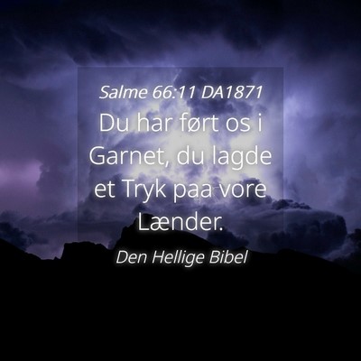 Picture 04 - Salme 66:11 DA1871 - Du har ført os i Garnet, du lagde et Tryk paa - Bible Verse Picture