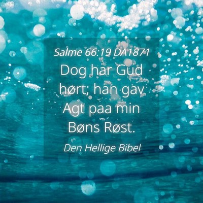 Picture 04 - Salme 66:19 DA1871 - Dog har Gud hørt; han gav Agt paa min Bøns - Bible Verse Picture
