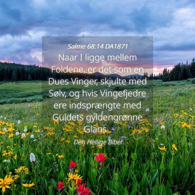 Picture 04 - Salme 68:14 DA1871 - Naar I ligge mellem Foldene, er det som en Dues - Bible Verse Picture