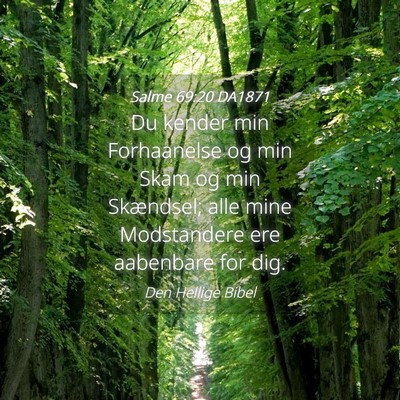 Picture 04 - Salme 69:20 DA1871 - Du kender min Forhaanelse og min Skam og min - Bible Verse Picture