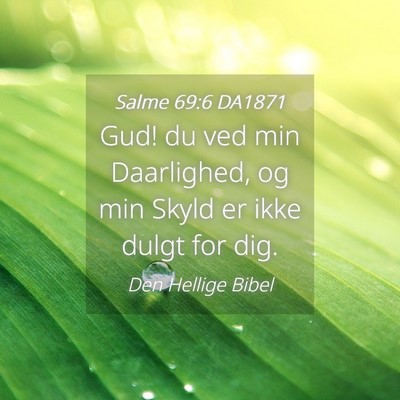 Picture 04 - Salme 69:6 DA1871 - Gud! du ved min Daarlighed, og min Skyld er ikke - Bible Verse Picture