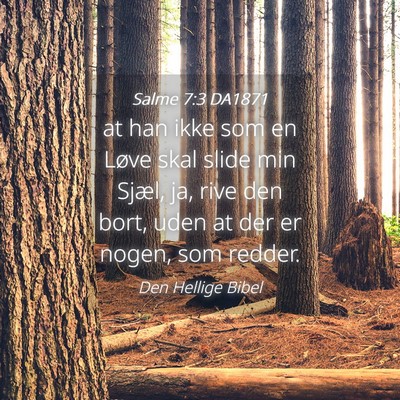 Picture 04 - Salme 7:3 DA1871 - at han ikke som en Løve skal slide min Sjæl, - Bible Verse Picture