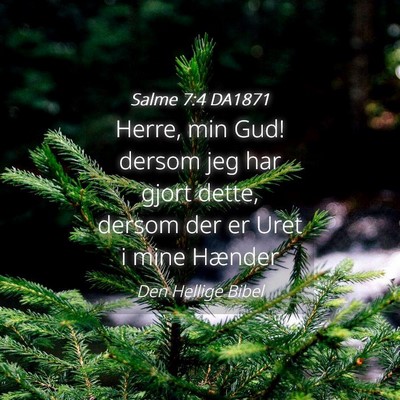 Picture 04 - Salme 7:4 DA1871 - Herre, min Gud! dersom jeg har gjort dette, - Bible Verse Picture