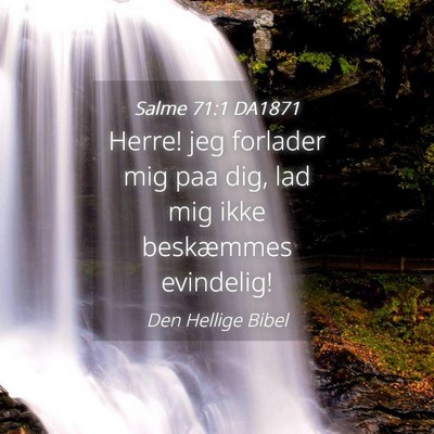 Picture 04 - Salme 71:1 DA1871 - Herre! jeg forlader mig paa dig, lad mig ikke - Bible Verse Picture