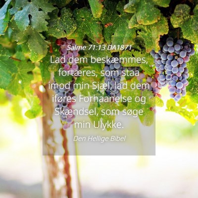 Picture 04 - Salme 71:13 DA1871 - Lad dem beskæmmes, fortæres, som staa imod min - Bible Verse Picture