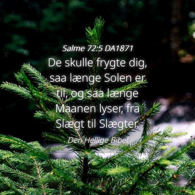 Picture 04 - Salme 72:5 DA1871 - De skulle frygte dig, saa længe Solen er til, og - Bible Verse Picture