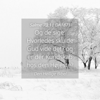 Picture 04 - Salme 73:11 DA1871 - Og de sige: Hvorledes skulde Gud vide det? og er - Bible Verse Picture