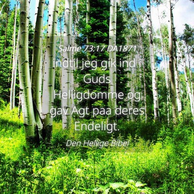 Picture 04 - Salme 73:17 DA1871 - indtil jeg gik ind i Guds Helligdomme og gav Agt - Bible Verse Picture