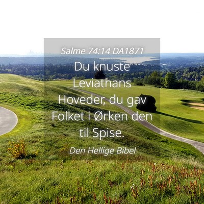 Picture 04 - Salme 74:14 DA1871 - Du knuste Leviathans Hoveder, du gav Folket i - Bible Verse Picture