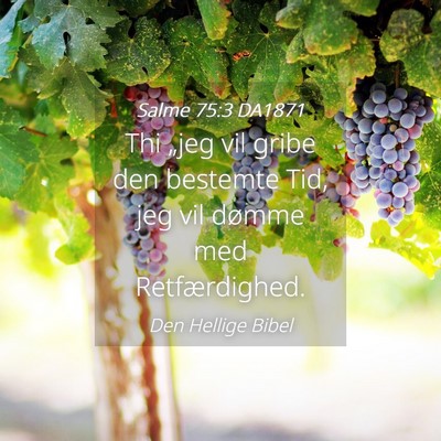 Picture 04 - Salme 75:3 DA1871 - Thi „jeg vil gribe den bestemte Tid, jeg vil - Bible Verse Picture