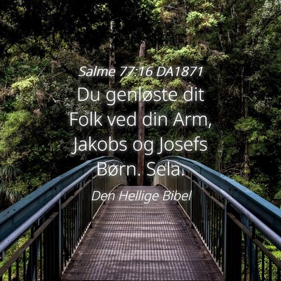 Picture 04 - Salme 77:16 DA1871 - Du genløste dit Folk ved din Arm, Jakobs og - Bible Verse Picture