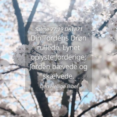 Picture 04 - Salme 77:19 DA1871 - Din Tordens Drøn rullede, Lynet oplyste - Bible Verse Picture