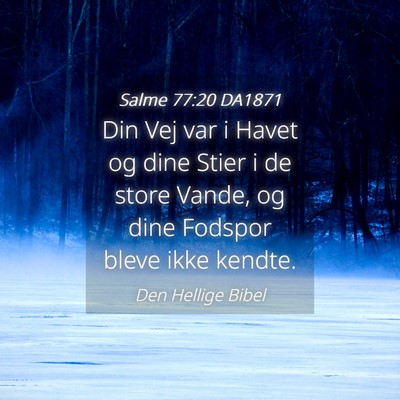 Picture 04 - Salme 77:20 DA1871 - Din Vej var i Havet og dine Stier i de store - Bible Verse Picture
