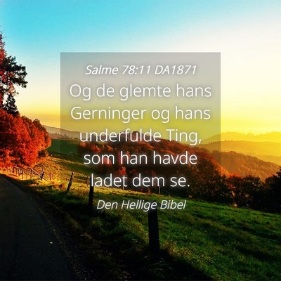 Picture 04 - Salme 78:11 DA1871 - Og de glemte hans Gerninger og hans underfulde - Bible Verse Picture
