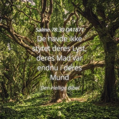 Picture 04 - Salme 78:30 DA1871 - De havde ikke styret deres Lyst, deres Mad var - Bible Verse Picture