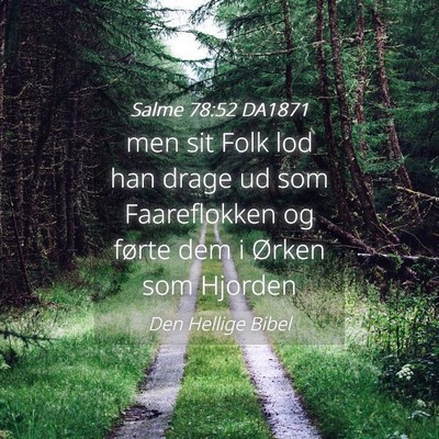 Picture 04 - Salme 78:52 DA1871 - men sit Folk lod han drage ud som Faareflokken og - Bible Verse Picture