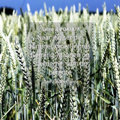 Picture 04 - Salme 8:4 DA1871 - Naar jeg ser din Himmel, dine Fingres Gerning, - Bible Verse Picture
