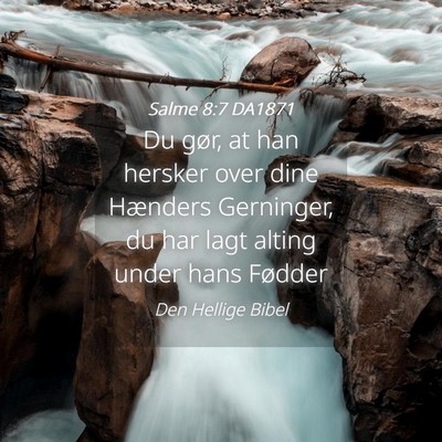 Picture 04 - Salme 8:7 DA1871 - Du gør, at han hersker over dine Hænders - Bible Verse Picture