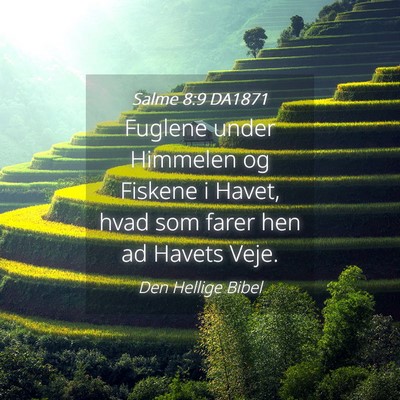Picture 04 - Salme 8:9 DA1871 - Fuglene under Himmelen og Fiskene i Havet, hvad - Bible Verse Picture