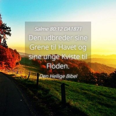 Picture 04 - Salme 80:12 DA1871 - Den udbreder sine Grene til Havet og sine unge - Bible Verse Picture