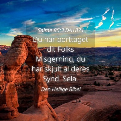 Picture 04 - Salme 85:3 DA1871 - Du har borttaget dit Folks Misgerning, du har - Bible Verse Picture