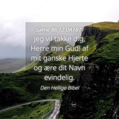 Picture 04 - Salme 86:12 DA1871 - Jeg vil takke dig, Herre min Gud! af mit ganske - Bible Verse Picture