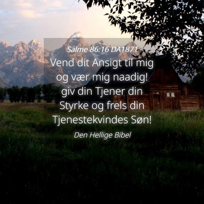 Picture 04 - Salme 86:16 DA1871 - Vend dit Ansigt til mig og vær mig naadig! giv - Bible Verse Picture