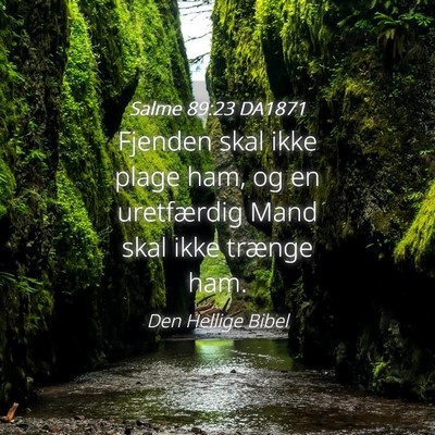 Picture 04 - Salme 89:23 DA1871 - Fjenden skal ikke plage ham, og en uretfærdig - Bible Verse Picture