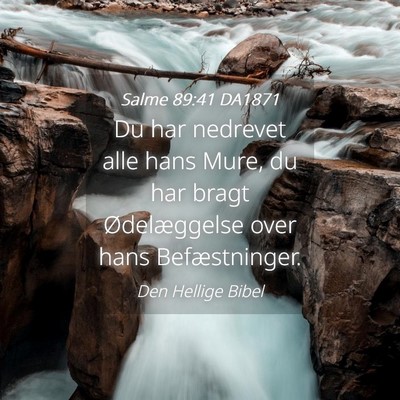 Picture 04 - Salme 89:41 DA1871 - Du har nedrevet alle hans Mure, du har bragt - Bible Verse Picture