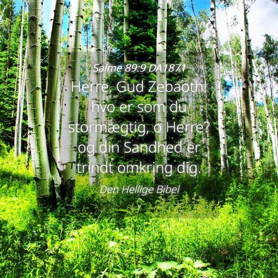 Picture 04 - Salme 89:9 DA1871 - Herre, Gud Zebaoth! hvo er som du stormægtig, o - Bible Verse Picture