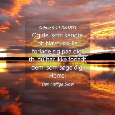 Picture 04 - Salme 9:11 DA1871 - Og de, som kendte dit Navn, skulle forlade sig - Bible Verse Picture