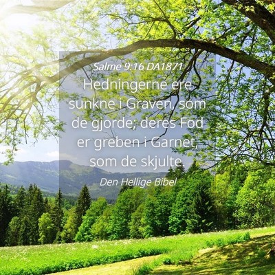 Picture 04 - Salme 9:16 DA1871 - Hedningerne ere sunkne i Graven, som de gjorde; - Bible Verse Picture