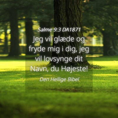 Picture 04 - Salme 9:3 DA1871 - Jeg vil glæde og fryde mig i dig, jeg vil - Bible Verse Picture