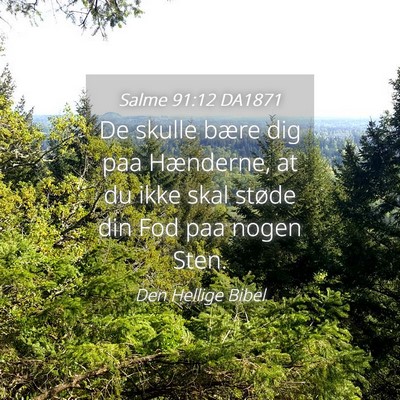 Picture 04 - Salme 91:12 DA1871 - De skulle bære dig paa Hænderne, at du ikke - Bible Verse Picture