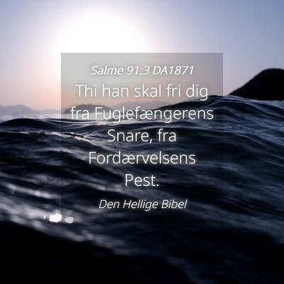Picture 04 - Salme 91:3 DA1871 - Thi han skal fri dig fra Fuglefængerens Snare, - Bible Verse Picture