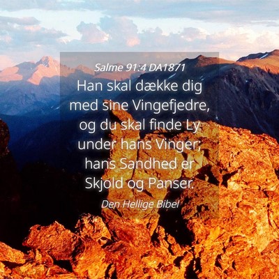 Picture 04 - Salme 91:4 DA1871 - Han skal dække dig med sine Vingefjedre, og du - Bible Verse Picture