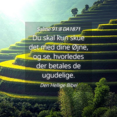 Picture 04 - Salme 91:8 DA1871 - Du skal kun skue det med dine Øjne, og se, - Bible Verse Picture