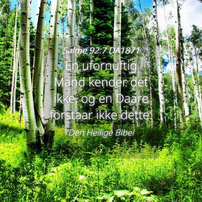 Picture 04 - Salme 92:7 DA1871 - En ufornuftig Mand kender det ikke, og en Daare - Bible Verse Picture