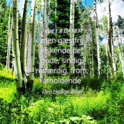 Picture 04 - Titus 1:8 DA1871 - men gæstfri, elskende det gode, sindig, - Bible Verse Picture