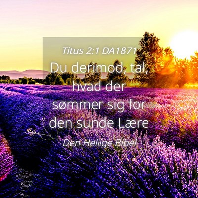 Picture 04 - Titus 2:1 DA1871 - Du derimod, tal, hvad der sømmer sig for den - Bible Verse Picture