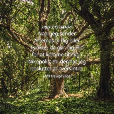 Picture 04 - Titus 3:12 DA1871 - Naar jeg sender Artemas til dig eller Tykikus, da - Bible Verse Picture