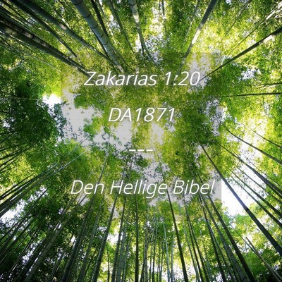 Picture 04 - Zakarias 1:20 DA1871 -  - Bible Verse Picture