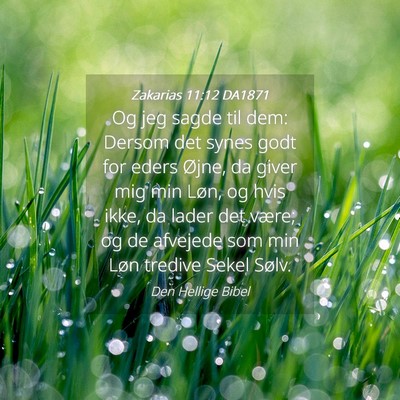 Picture 04 - Zakarias 11:12 DA1871 - Og jeg sagde til dem: Dersom det synes godt for - Bible Verse Picture