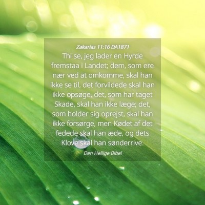 Picture 04 - Zakarias 11:16 DA1871 - Thi se, jeg lader en Hyrde fremstaa i Landet; - Bible Verse Picture