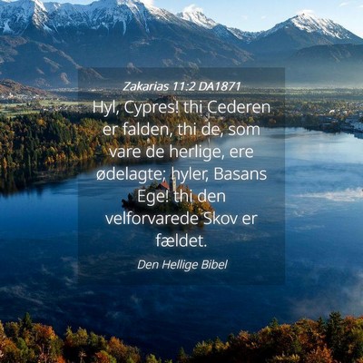 Picture 04 - Zakarias 11:2 DA1871 - Hyl, Cypres! thi Cederen er falden, thi de, som - Bible Verse Picture