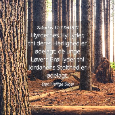 Picture 04 - Zakarias 11:3 DA1871 - Hyrdernes Hyl lyder, thi deres Herlighed er - Bible Verse Picture