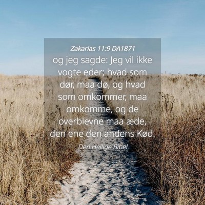 Picture 04 - Zakarias 11:9 DA1871 - og jeg sagde: Jeg vil ikke vogte eder; hvad som - Bible Verse Picture