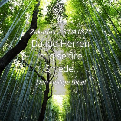 Picture 04 - Zakarias 2:3 DA1871 - Da lod Herren mig se fire - Bible Verse Picture